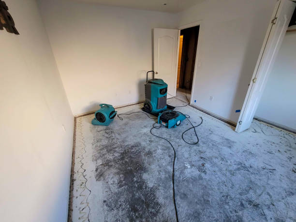 Best Flooded house restoration  in Cornelius, NC