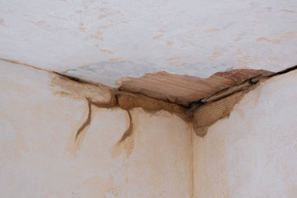 Best 24/7 water damage repair  in Cornelius, NC