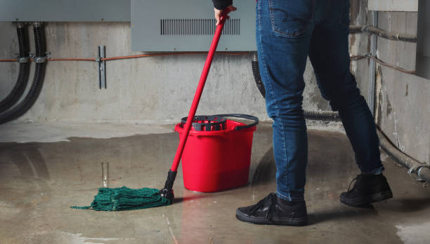 Best Basement water damage restoration  in Cornelius, NC
