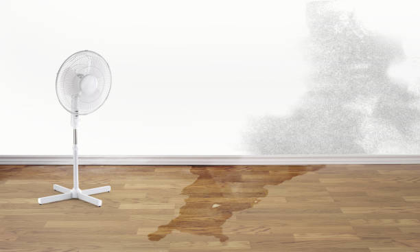 Best Water damage restoration experts  in Cornelius, NC