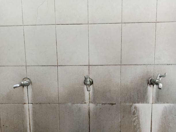 Best Water damage restoration near me  in Cornelius, NC